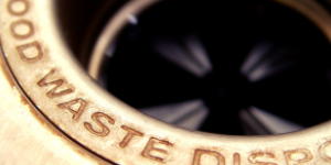 garbage disposal cleaning hacks
