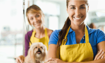 pet groomers bid farewell to traditional cleaners