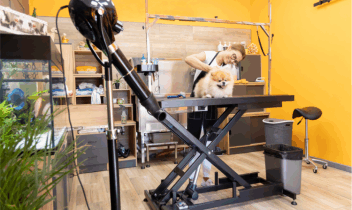 pet groomers bid farewell to traditional cleaners