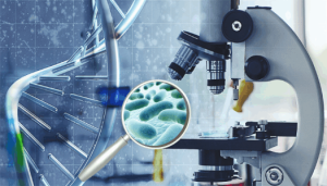 How Probiotic and Enzyme Cleaners Work 4 How Microbiologists Identify Bacteria in the Lab