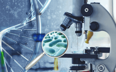Peppermint Essential Oil 3 how microbiologists identify bacteria in the lab