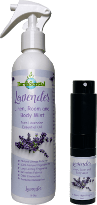 Lavender flower