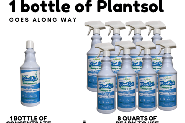 Peppermint Essential Oil 4 The quest for an affordable natural cleaner