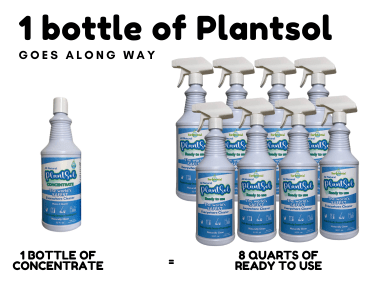 The quest for an affordable natural cleaner