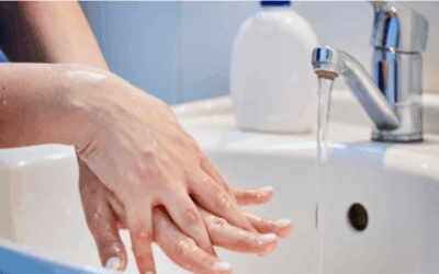 Peppermint Essential Oil 3 the guide to proper bathroom etiquette