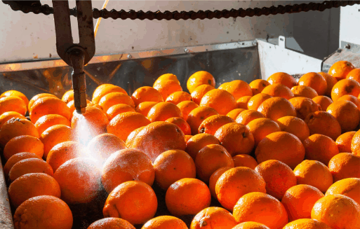 removing wax from our fruits and vegetables