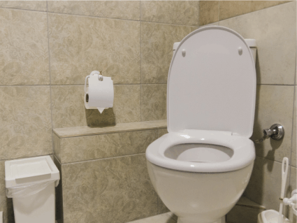 earthSential transforming your toilet experience