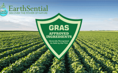 Peppermint Essential Oil 3 GRAS list ingredients in EarthSential cleaners