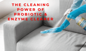 Probiotic and Enzyme All Surface Cleaner 11 the cleaning power of probiotic and enzyme cleaner
