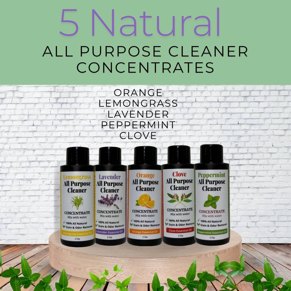 All Purpose Cleaner Concentrate Variety Pack 6 All Purpose Cleaner Concentrate Variety Pack - Image 6