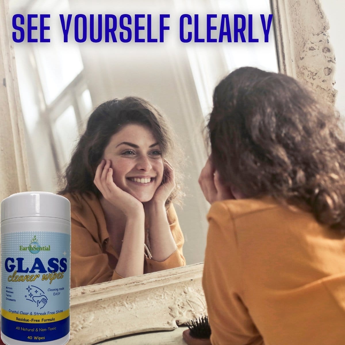Glass Cleaner Wipes 5 glass cleaner wipes