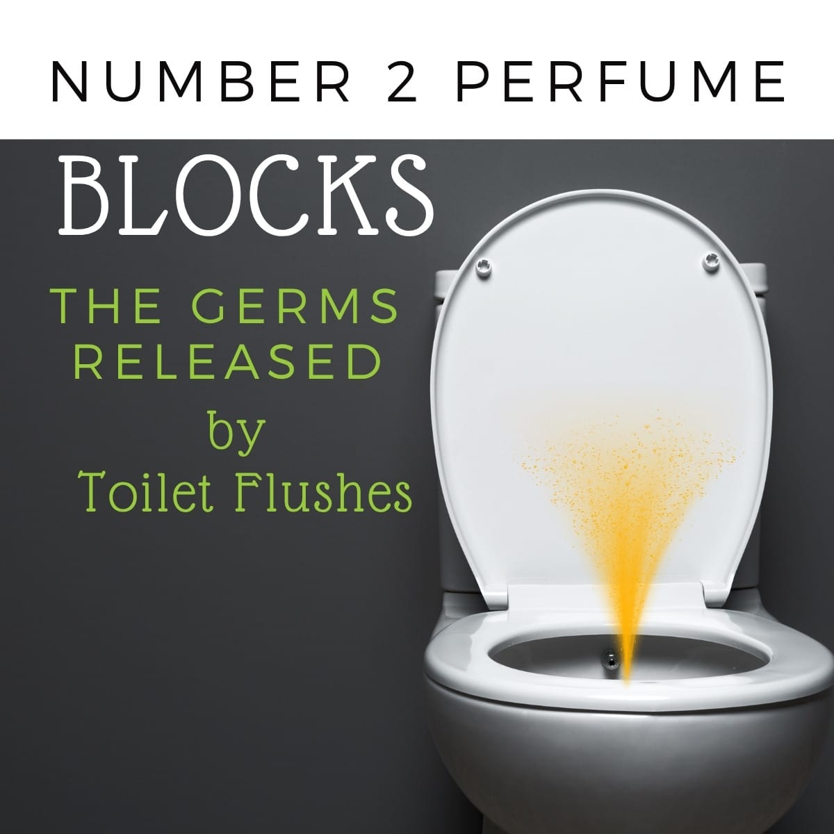 Number 2 Perfume Toilet Spray 5 challenges of sharing a bathroom with roommates