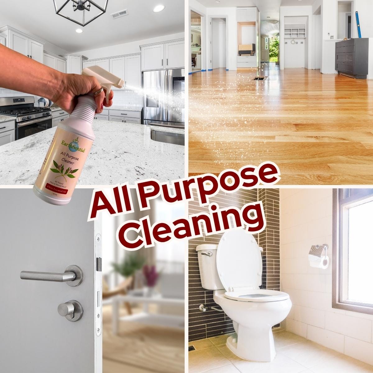 Clove all purpose cleaner