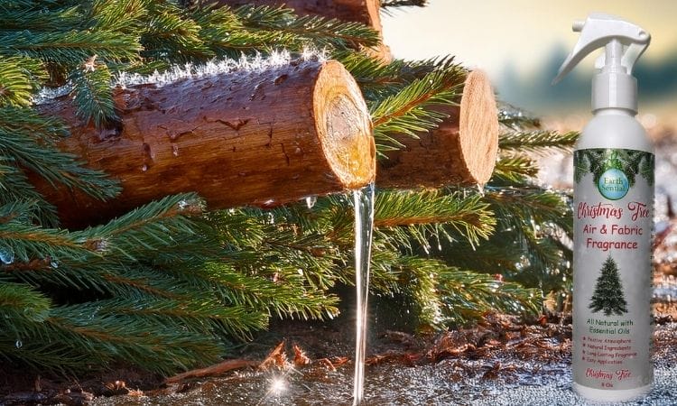 The magic of christmas tree scent without the tree